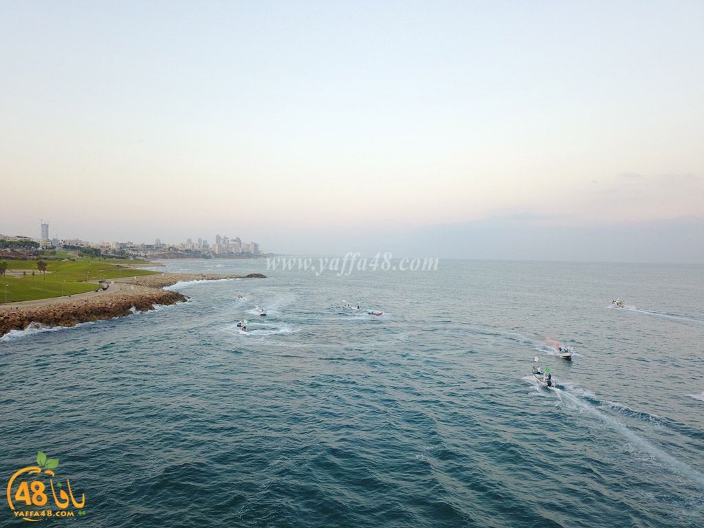 iste3rad sayaden yaffa (48).JPG